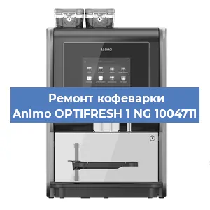 Чистка кофемашины Animo OPTIFRESH 1 NG 1004711 от накипи в Нижнем Новгороде